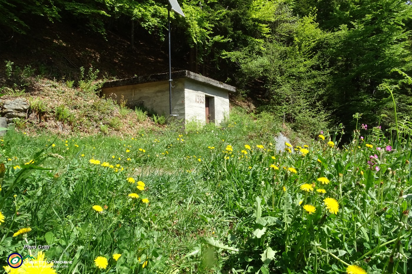 50 Salito bosco di faggeta,  prendo il sentiero di fronte a dx dell'acquedotto. .JPG